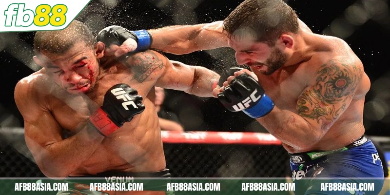 Cộng đồng yêu thích MMA đầy sôi động