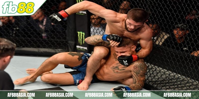 Trực tiếp UFC/MMA hôm nay – Thưởng thức trận đấu đỉnh cao 1 Tìm hiểu về trực tiếp UFC/MMA