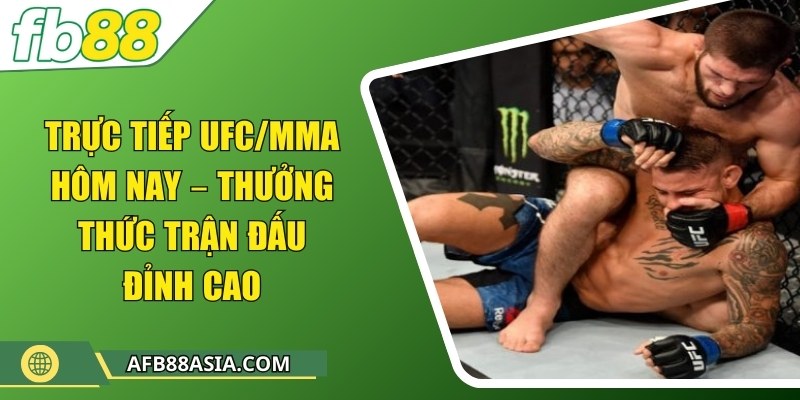 Trực tiếp UFC/MMA hôm nay – Thưởng thức trận đấu đỉnh cao